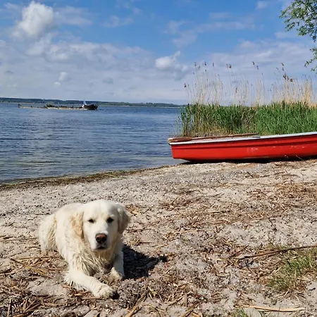 Holiday home Sommerhaus In Familienfreundlich, Mit Garten & Sauna *