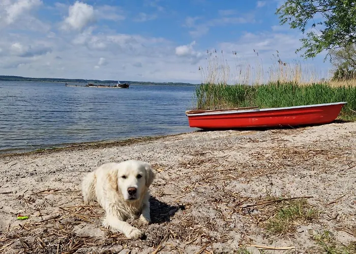 Semesterbostad Sommerhaus In Familienfreundlich, Mit Garten & Sauna *